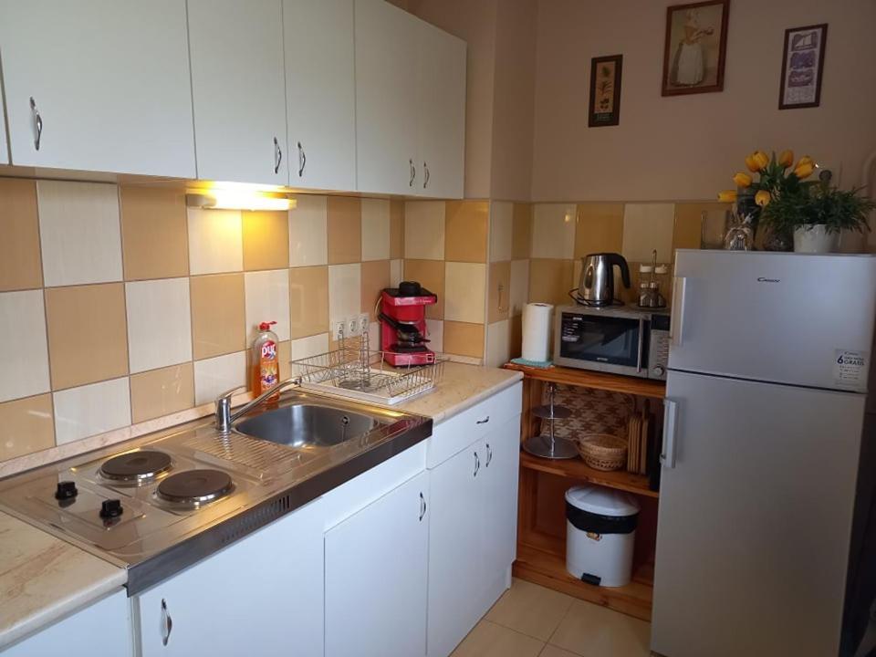 Zenit Apartman Makó Zewnętrze zdjęcie